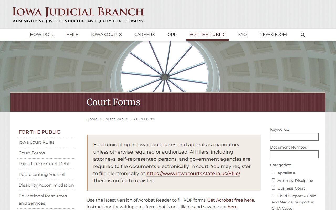 Iowa Courts official court forms directory for expungement materials